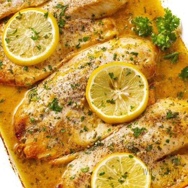 Tilapia